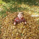 ben2011lol profile picture